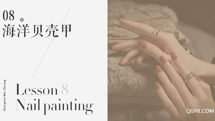 8海洋貝殼甲.jpg