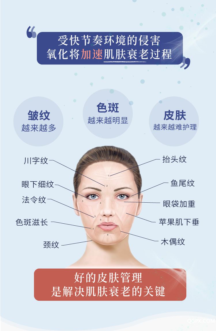 .jpg 大綱.ai2_01.jpg