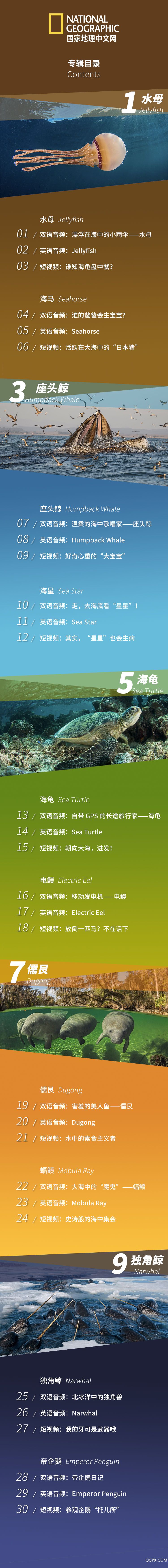 3內(nèi)容目錄.jpg